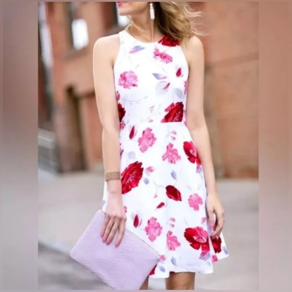Banana Republic fit and flare sleeveless dress size 2